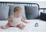 PlanToys - Penguin - Modern Brands Australia