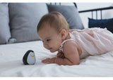 PlanToys - Penguin - Modern Brands Australia