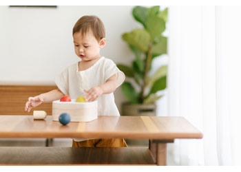 Plan Toys - PUNCH & DROP BIN - Modern Brands Australia