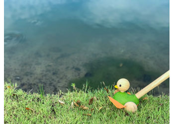 PlanToys - Push Along Duck - Modern Brands Australia