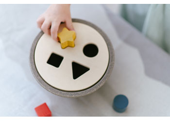 Plan Toys - SHAPE SORTING BOWL - Modern Brands Australia