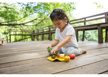 PlanToys - Assorted Vegetable Set - Modern Brands Australia