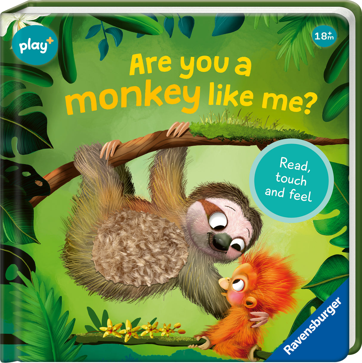 Play + Are you a Monkey like me?