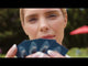 Ravensburger Jaws Strategy Game
