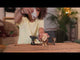 Schleich - Wild Life Ranger Adventure Station 2025