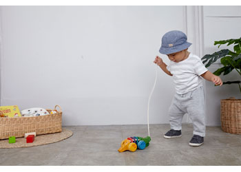 PlanToys - Rainbow Alligator - Modern Brands Australia