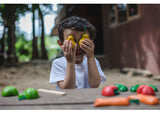 PlanToys - Wonky Fruit & Vegetables - Modern Brands Australia