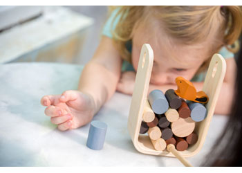 PlanToys - Timber Tumble - Modern Brands Australia