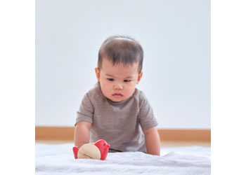 Plantoys - Bird Roller - Modern Brands Australia