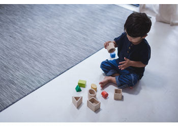 PlanToys - Geo Matching Boxes - Modern Brands Australia