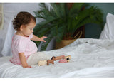 PlanToys - Farm Animals Set - Modern Brands Australia