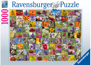 Rburg - 99 Bees 1000p - Modern Brands Australia