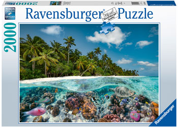 Rburg - A Dive in the Maldives 2000p - Modern Brands Australia