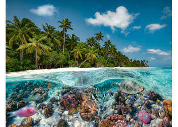 Rburg - A Dive in the Maldives 2000p - Modern Brands Australia