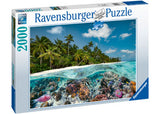 Rburg - A Dive in the Maldives 2000p - Modern Brands Australia