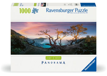 Rburg - Acid Lake at Mount Ijen Java 1000p - Modern Brands Australia