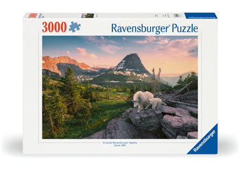 Rburg - Foto City Landscape Puzzle 3000p - Modern Brands Australia
