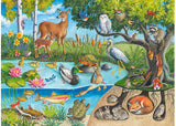 Rburg - Animals Above and Below 60p - Modern Brands Australia