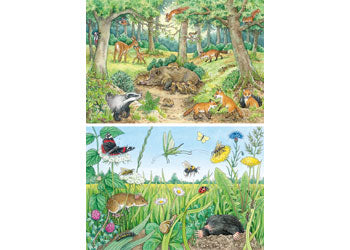 Ravensburger - Animals In Forest 2x12p - Modern Brands Australia