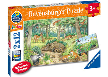 Ravensburger - Animals In Forest 2x12p - Modern Brands Australia