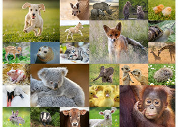 Rburg - Baby Animals 200p - Modern Brands Australia