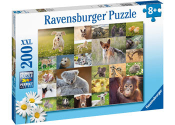 Rburg - Baby Animals 200p - Modern Brands Australia