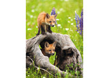 Rburg - Cheeky Foxes 300p - Modern Brands Australia