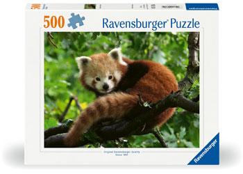 Rburg - Cute Red Panda 500p - Modern Brands Australia