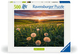 Rburg - Dandelions at Sunset Puzzle 500p - Modern Brands Australia
