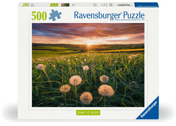 Rburg - Dandelions at Sunset Puzzle 500p - Modern Brands Australia