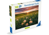 Rburg - Dandelions at Sunset Puzzle 500p - Modern Brands Australia