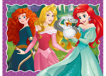 Rburg - Disney Friendship 12/16/20/24p - Modern Brands Australia