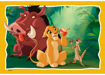 Rburg - Disney Lion King 2x24p - Modern Brands Australia