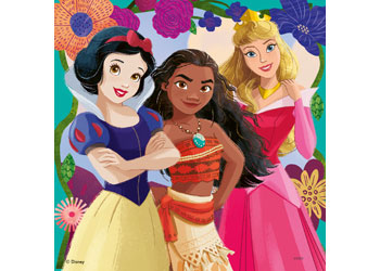 Rburg - Disney Princess 3x49p - Modern Brands Australia