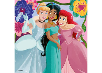 Rburg - Disney Princess 3x49p - Modern Brands Australia