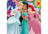Rburg - Disney Princess 3x49p - Modern Brands Australia