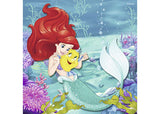 Rburg - Disney Princesses Adventure 3x49p - Modern Brands Australia