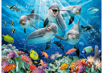 Rburg - Dolphins Puzzle 500p - Modern Brands Australia