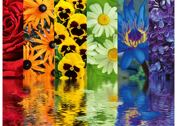 Rburg - Floral Reflections 500p - Modern Brands Australia