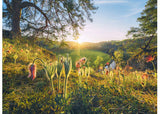 Ravensburger Four Seasons Puzzle 4x500 Pieces - Modern Brands Australia