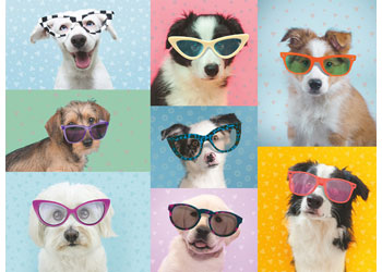Rburg - Funny Dogs Puzzle 150p - Modern Brands Australia