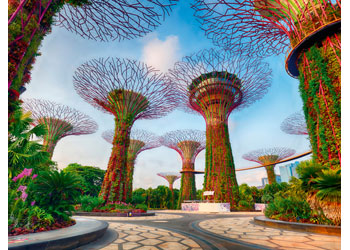 Rburg - WT: Singapur/Tokyo 1500p - Modern Brands Australia