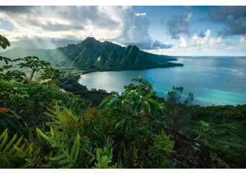 Rburg - Hawaiian Viewpoint 5000p - Modern Brands Australia