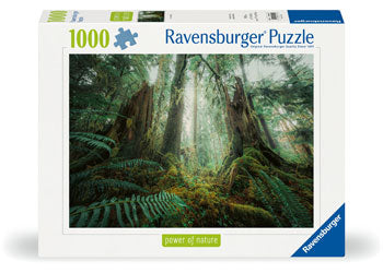 Rburg - In the Forest 1000p - Modern Brands Australia