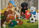 Rburg - Lets Play Ball Puzzle 200p - Modern Brands Australia
