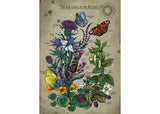 Rburg - AT: Lifecircle Butterfly 1000p - Modern Brands Australia