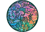 Rburg - Circle of colors - TBC 1 500p - Modern Brands Australia