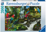 Rburg - Parrots Paradise Puzzle 2000p - Modern Brands Australia