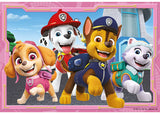 Rburg Paw Patrol Little Dogs - Big Heroes 2x24p - Modern Brands Australia