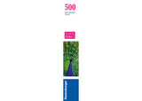 Rburg - Peacock 500p - Modern Brands Australia
